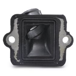 Inlaatspruitstuk Easyboost standaarduitvoering 12-21mm Piaggio Typhoon Zip NRG