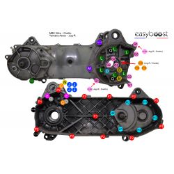 Boutenset 59 bouten MBK Booster Nitro - Minarelli motor