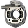Cilinderkit Easyboost standaarduitvoering 50 gietijzer MBK Nitro Aerox