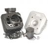 Cilinderkit Easyboost standaarduitvoering 50 gietijzer Peugeot Trekker Speedfight 1-2