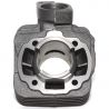 Cilinderkit Easyboost standaarduitvoering 50 gietijzer Peugeot Trekker Speedfight 1-2