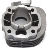 Cilinderkit Easyboost standaarduitvoering 50 gietijzer Ovetto Mach-G